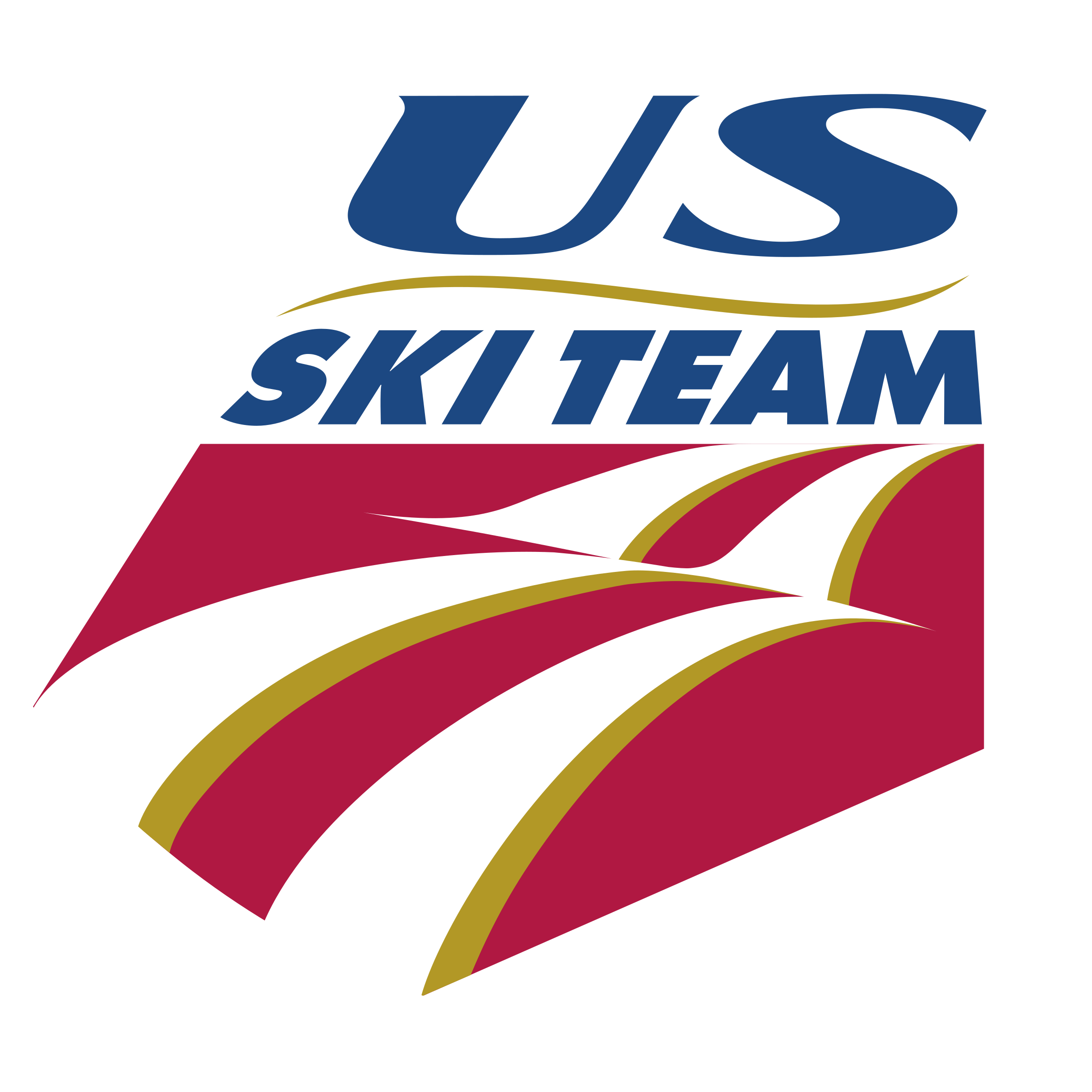 US SKI TEAM 